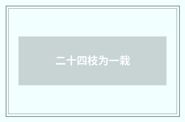 二十四枝为一栽