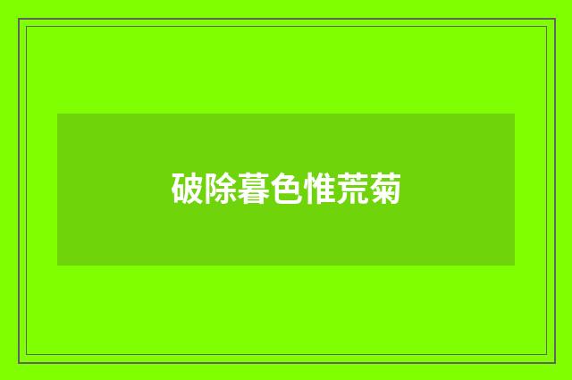 破除暮色惟荒菊
