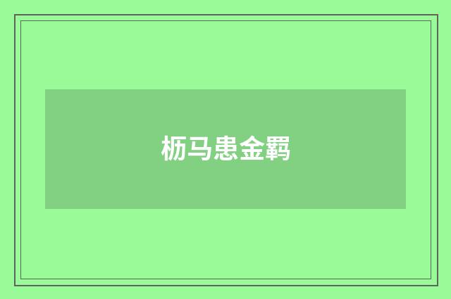 枥马患金羁