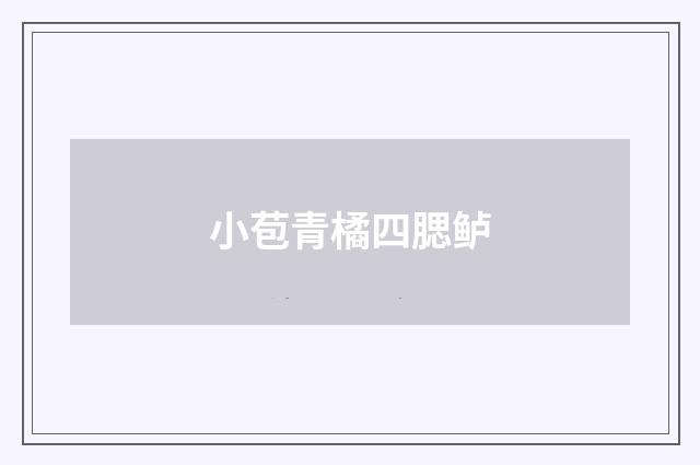 小苞青橘四腮鲈