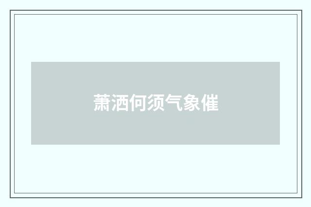 萧洒何须气象催
