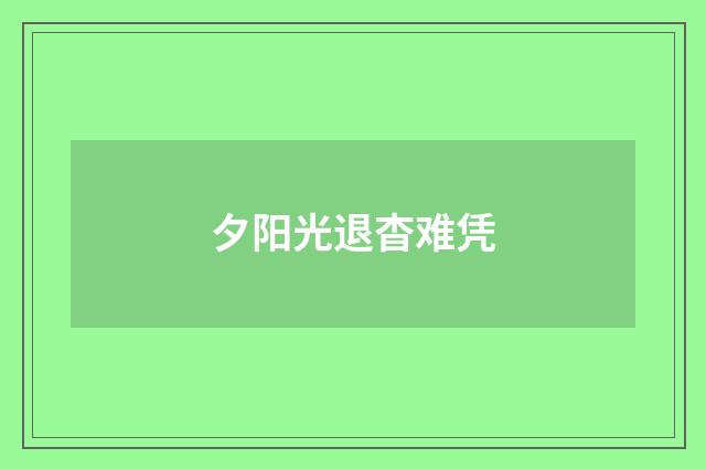 夕阳光退杳难凭