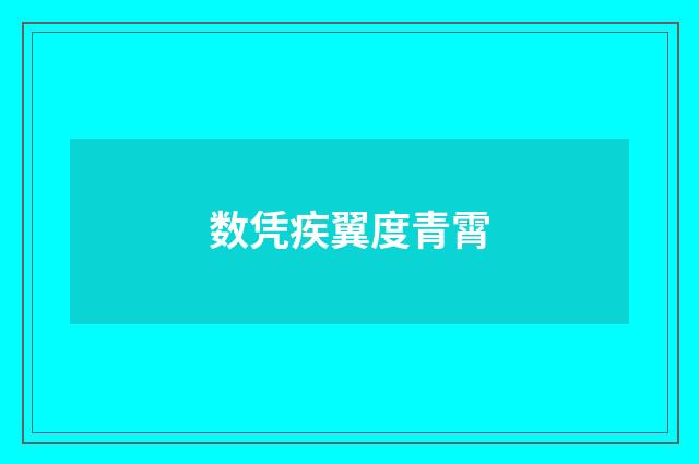 数凭疾翼度青霄