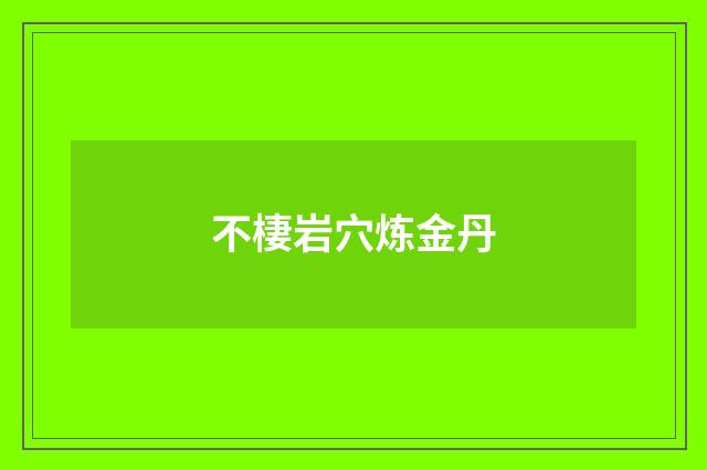不棲岩穴炼金丹