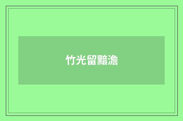 竹光留黯澹