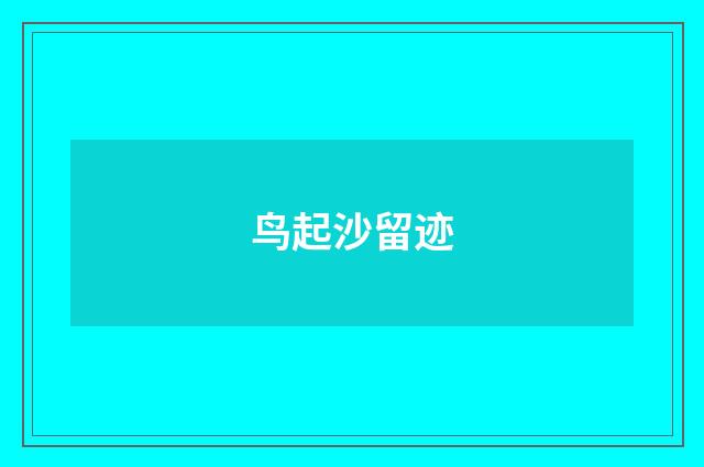 鸟起沙留迹