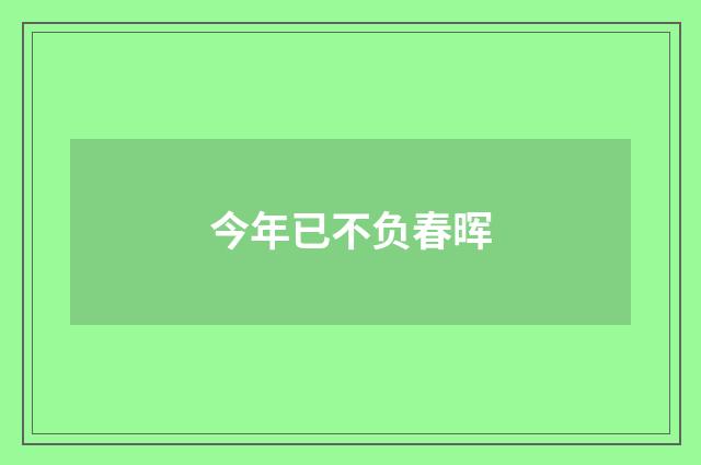 今年已不负春晖