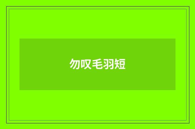 勿叹毛羽短