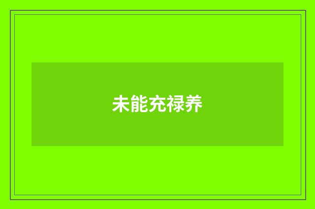 未能充禄养