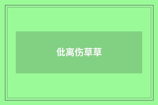 仳离伤草草