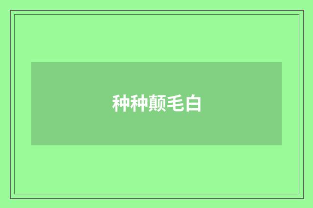 种种颠毛白