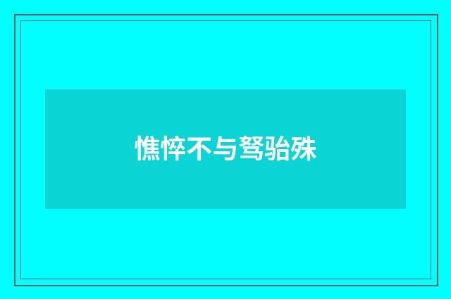 憔悴不与驽骀殊