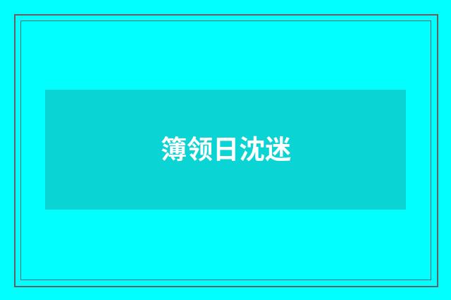 簿领日沈迷