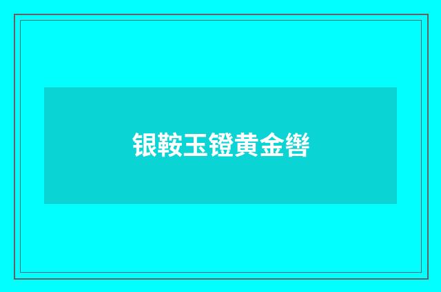 银鞍玉镫黄金辔
