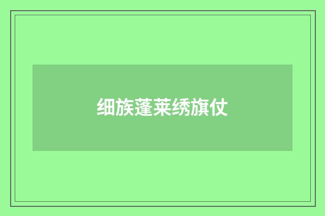 细族蓬莱绣旗仗