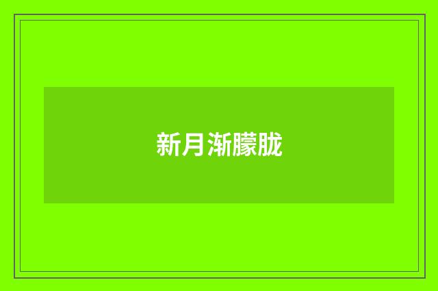 新月渐朦胧