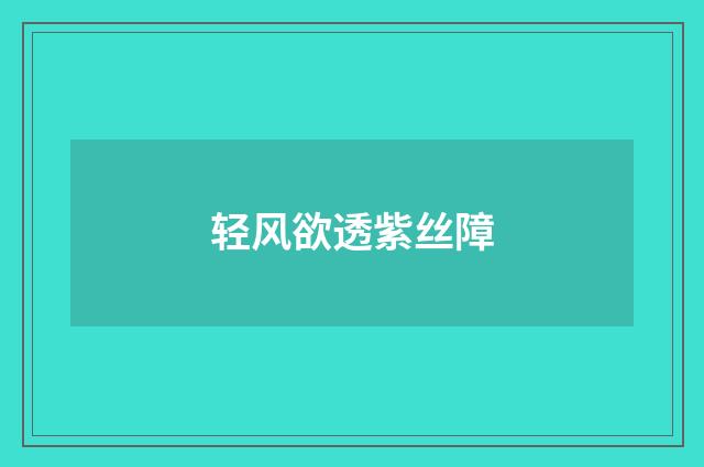 轻风欲透紫丝障