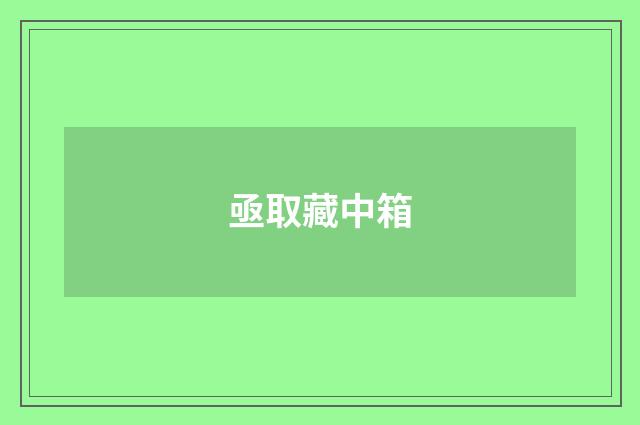 亟取藏中箱