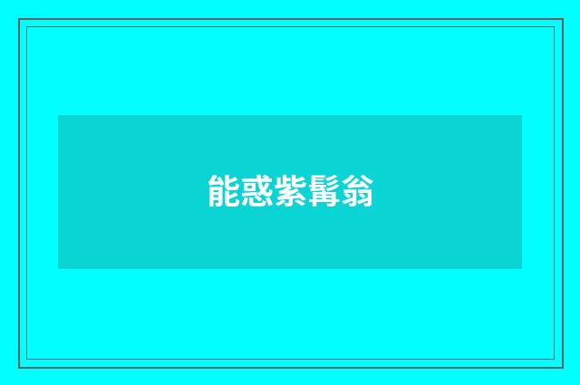能惑紫髯翁