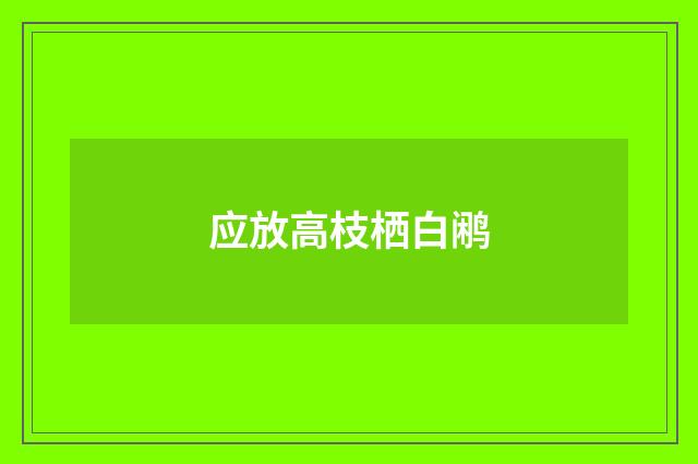 应放高枝栖白鹇
