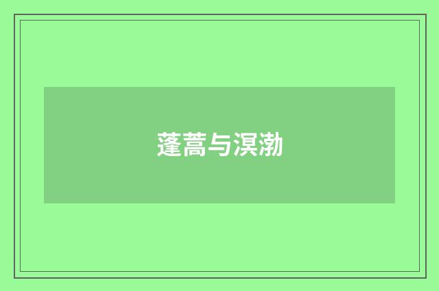 蓬蒿与溟渤