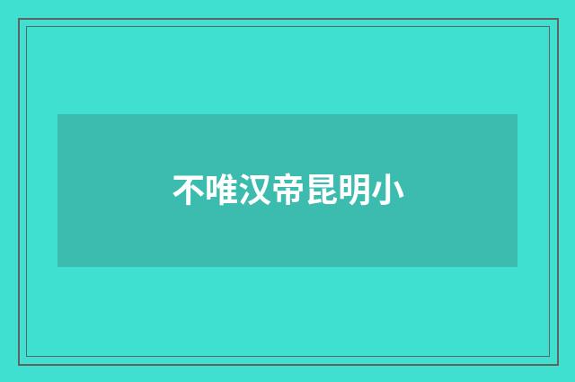 不唯汉帝昆明小