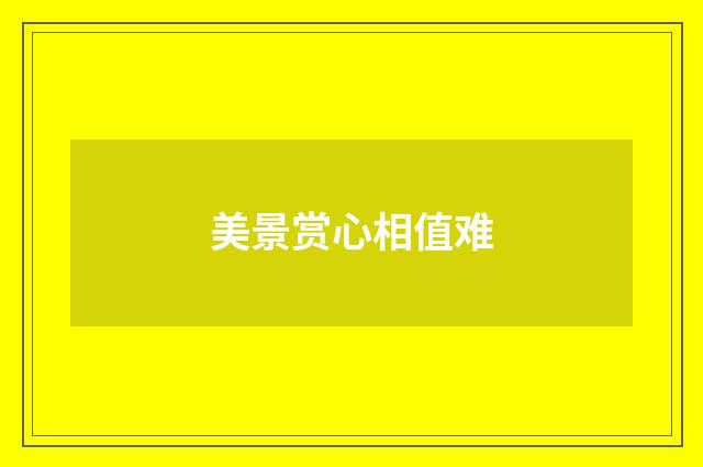 美景赏心相值难