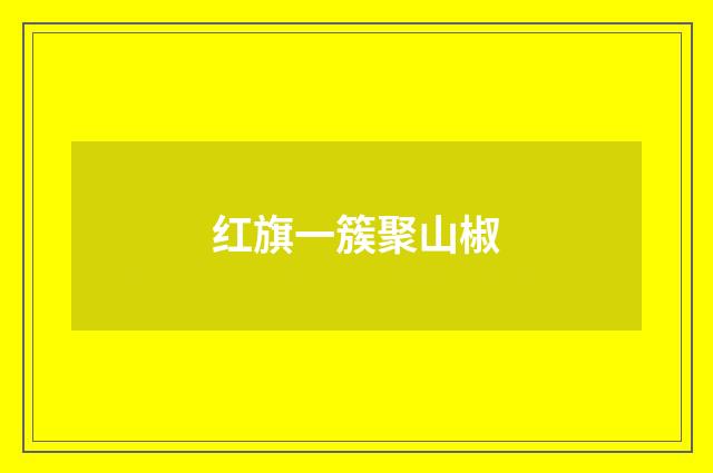 红旗一簇聚山椒