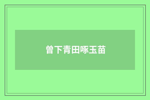 曾下青田啄玉苗