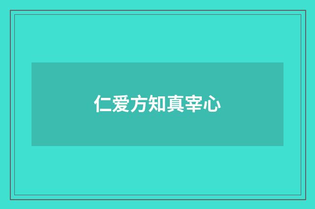 仁爱方知真宰心