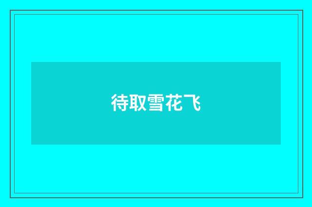 待取雪花飞