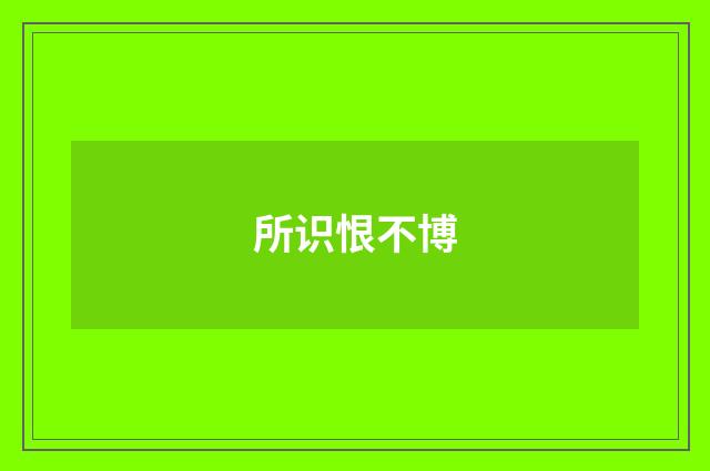 所识恨不博