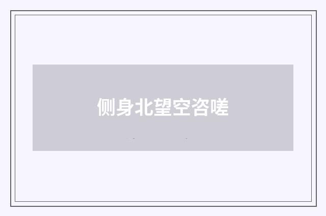 侧身北望空咨嗟