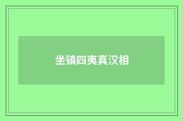 坐镇四夷真汉相