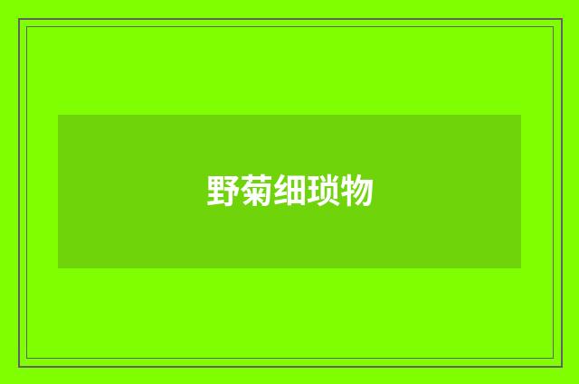野菊细琐物