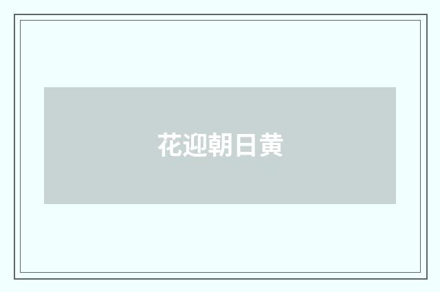 花迎朝日黄