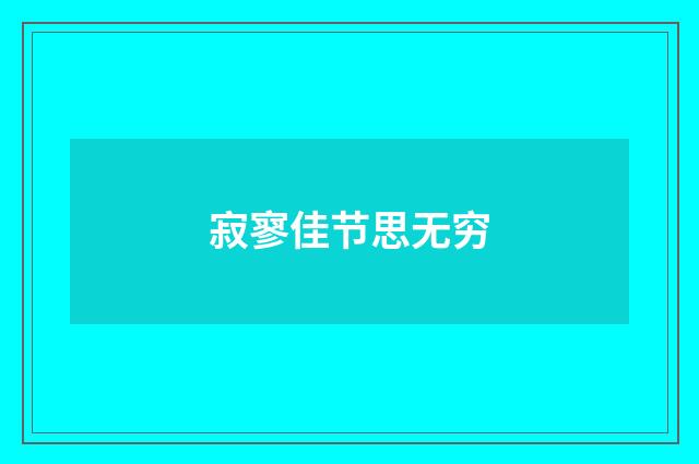 寂寥佳节思无穷