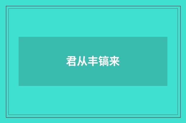 君从丰镐来