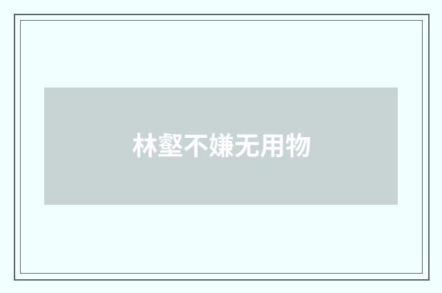 林壑不嫌无用物