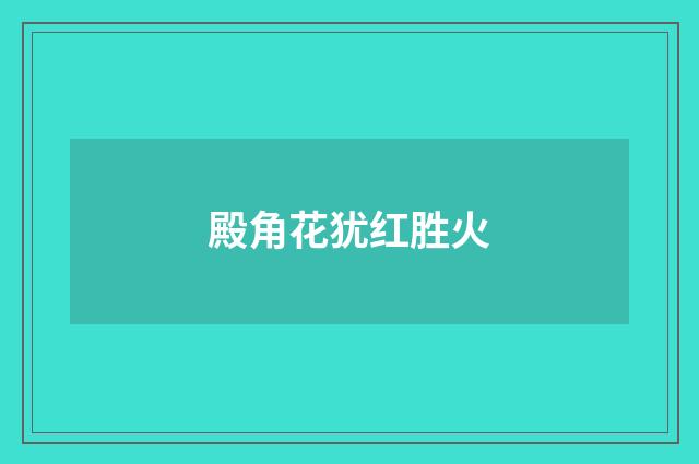 殿角花犹红胜火