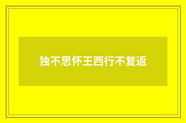 独不思怀王西行不复返