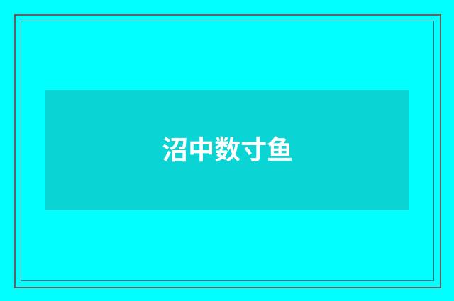 沼中数寸鱼