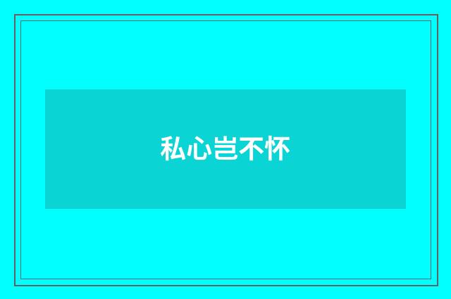私心岂不怀