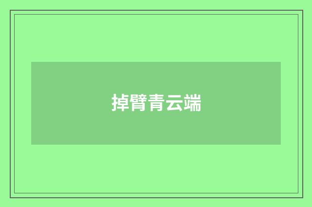 掉臂青云端