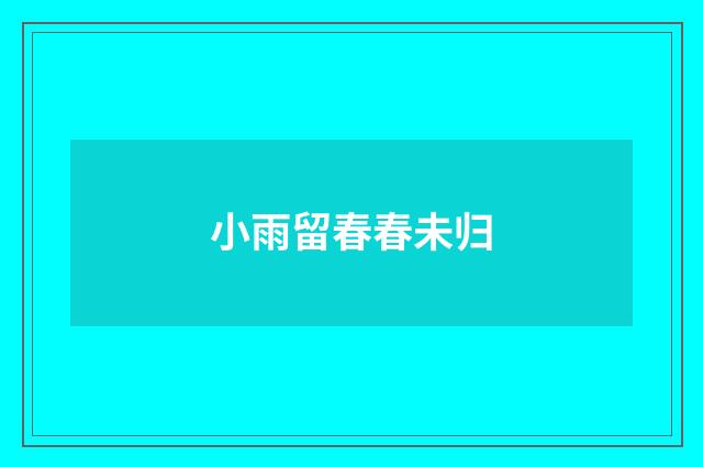 小雨留春春未归