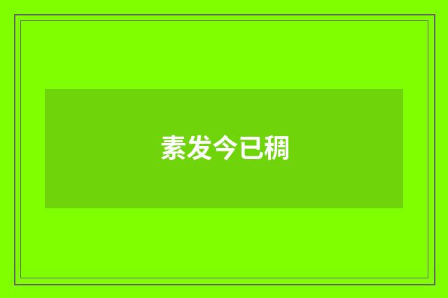 素发今已稠