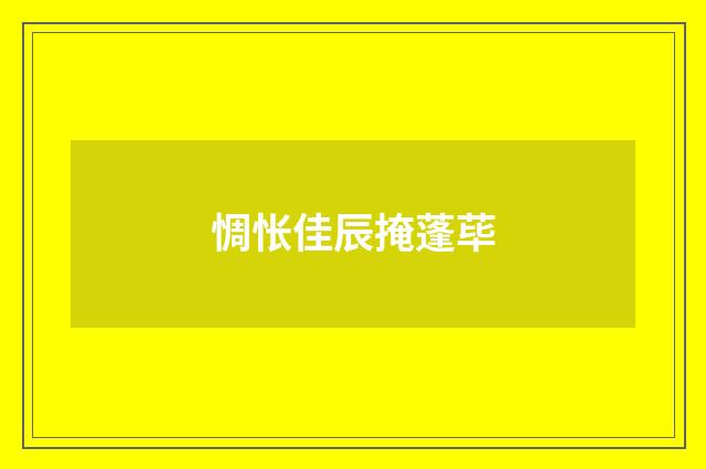 惆怅佳辰掩蓬荜