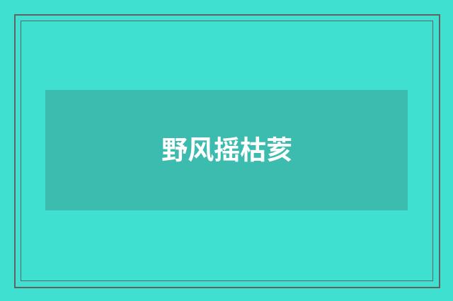 野风摇枯荄