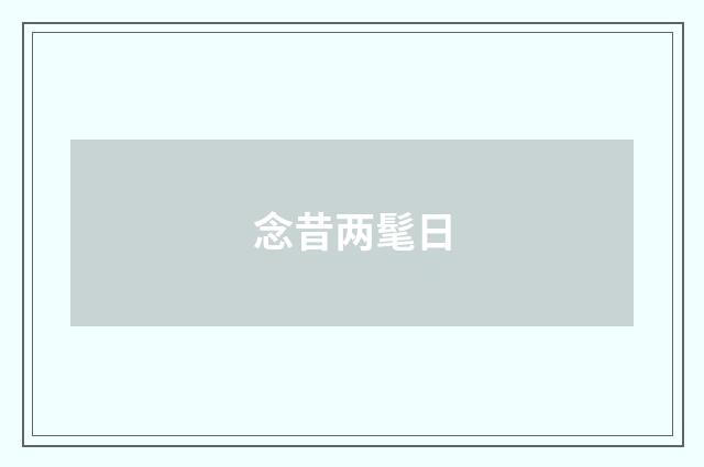 念昔两髦日