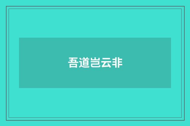 吾道岂云非
